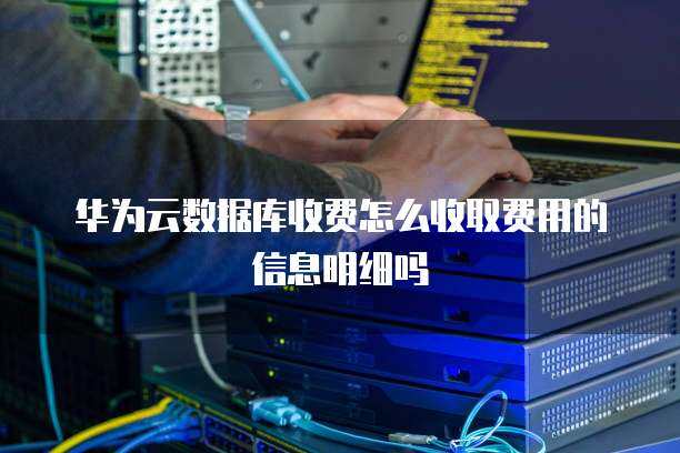 大數(shù)據(jù)服務(wù)收費(fèi)明細(xì)解析 數(shù)據(jù)處理與存儲(chǔ)支持